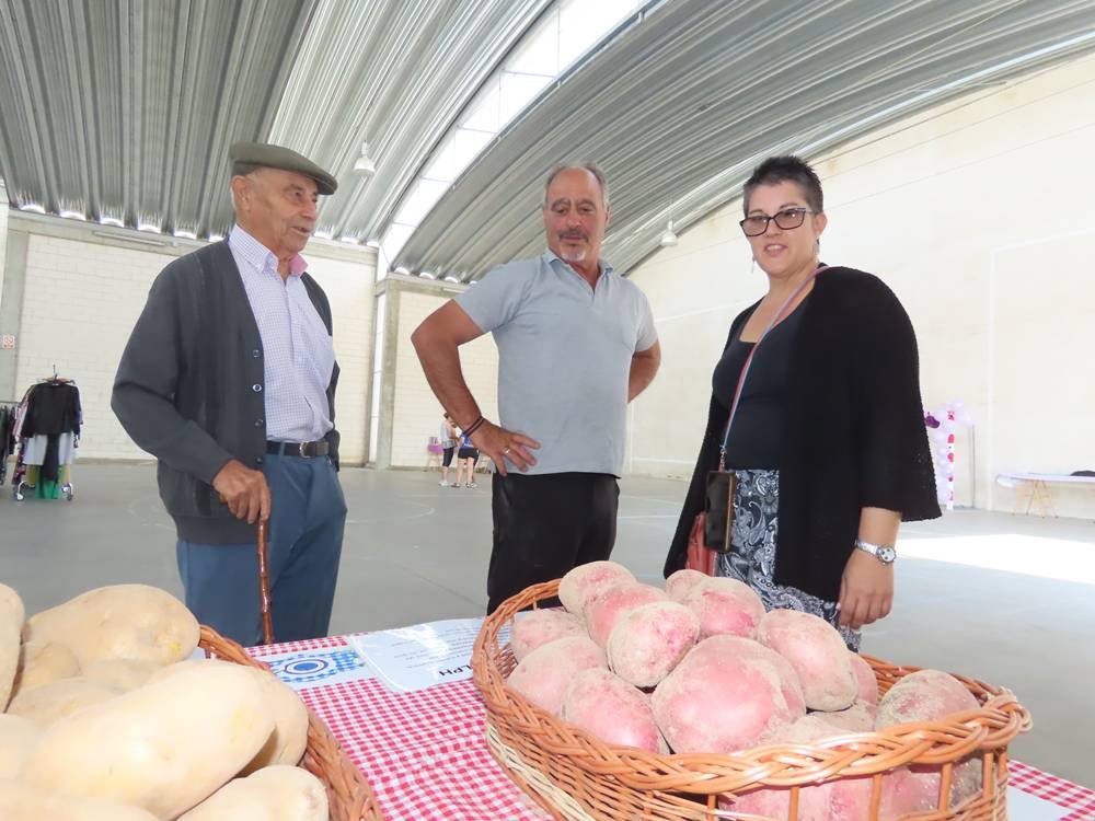 Patata de Arabayona en femenino