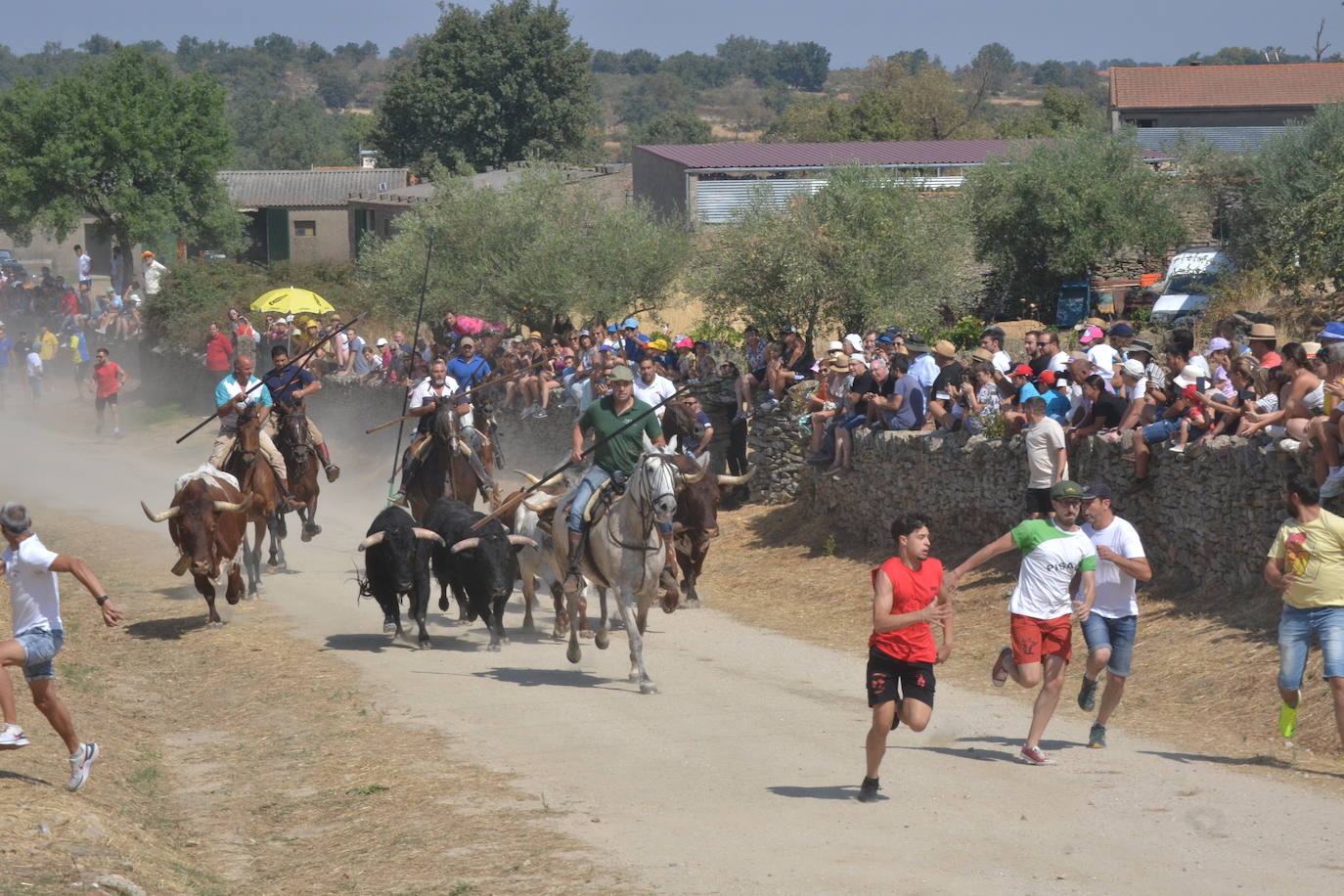 Brillante encierro a caballo en Lumbrales