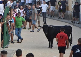 El toro de cajón en el recorrido repleto de gente en Calzada