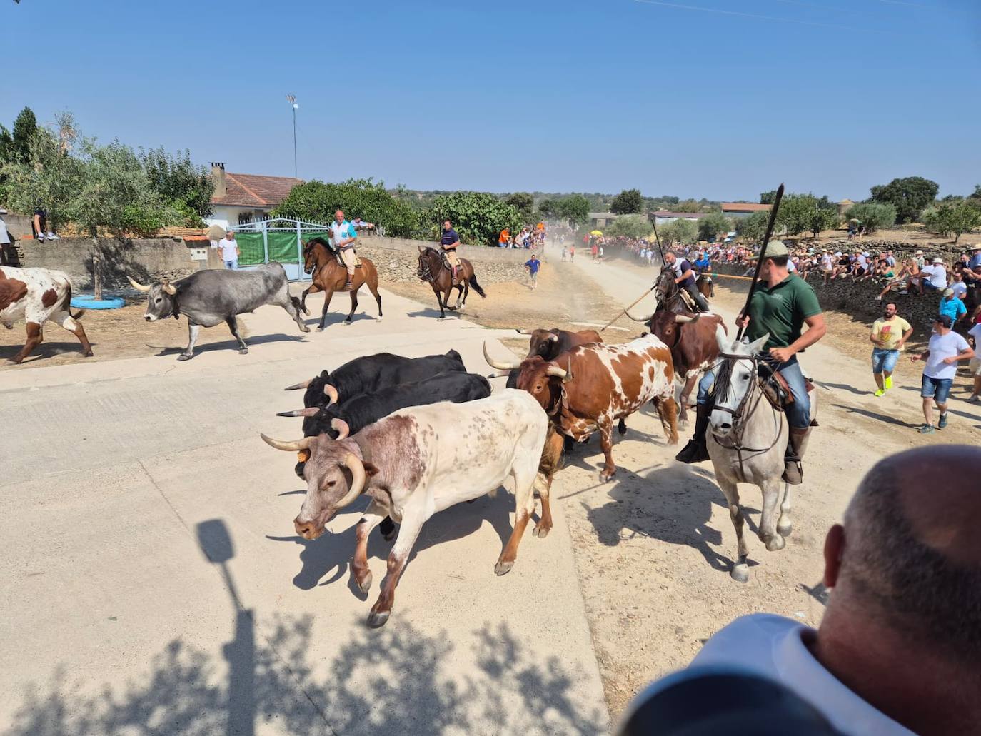 Brillante encierro a caballo en Lumbrales