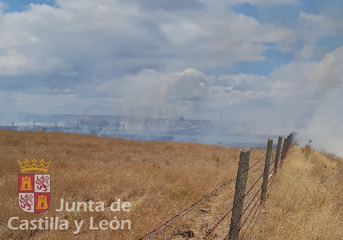 Extinción de otro reciente fuego declarado en la comarca de Vitigudino.