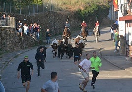La manada entrando en el casco urbano