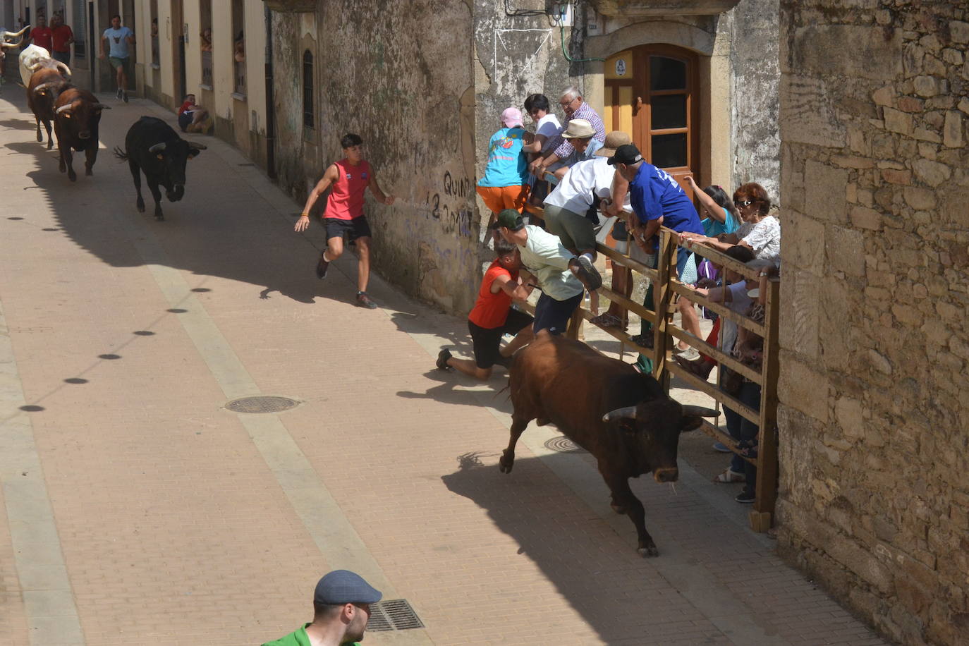 Lumbrales celebra un encierro vibrante