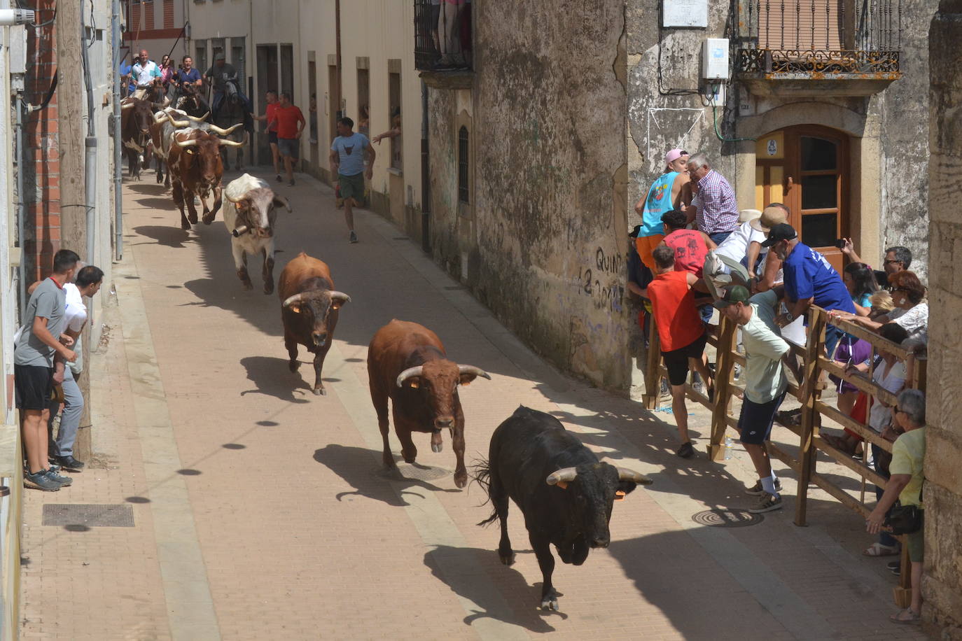 Lumbrales celebra un encierro vibrante