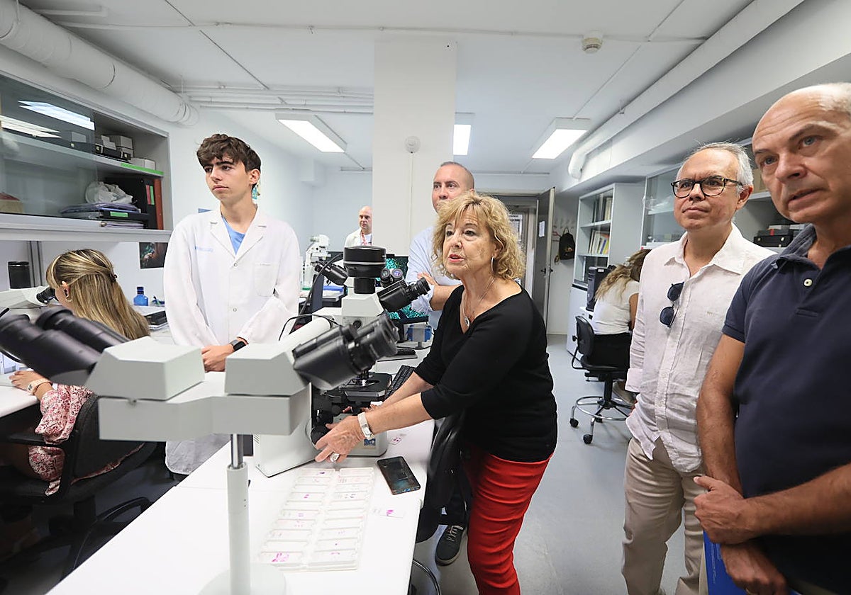 El alumno, Pablo Hérnandez, el delegado de Educación, Luis Sánchez y la investigadora, Carmen García observan una muestra de tejido.