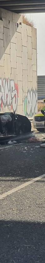 Imagen secundaria 2 - Un coche se precipita desde la A-66 a la N-630 desde unos 7 metros de altura y hay una víctima mortal y cuatro heridos
