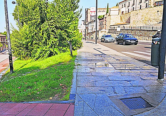 ¿El agua es para la vegetación o para la acera?