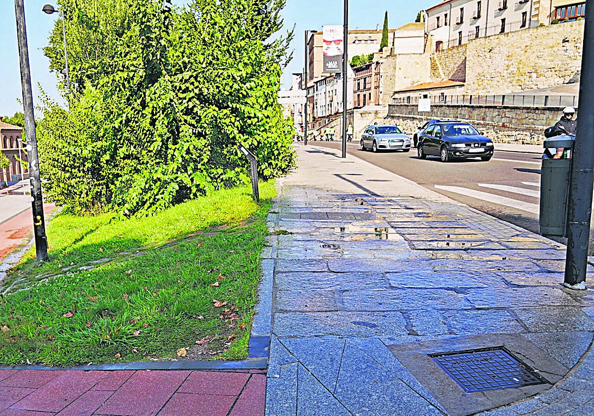 ¿El agua es para la vegetación o para la acera?