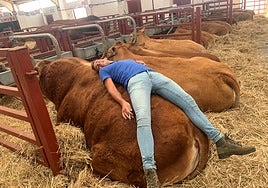 «Pocholo», el espectacular campeón de la raza de la anterior edición.