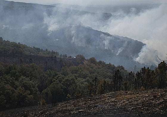 Incendios en Galicia.