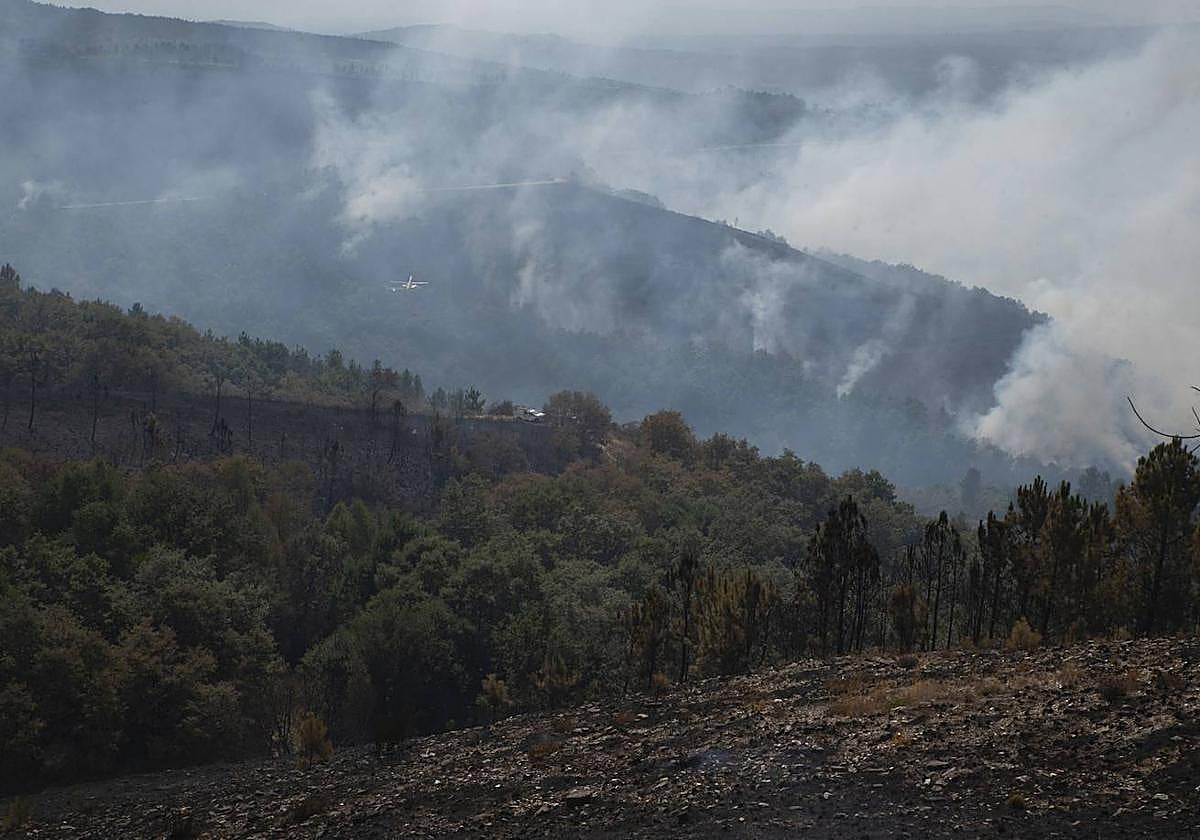 Incendios en Galicia.