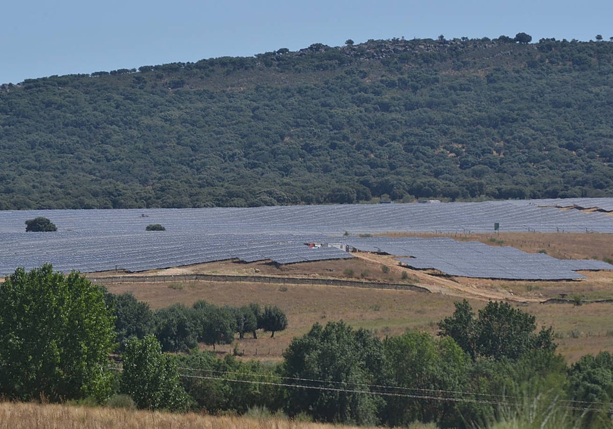 Vista general de la planta fotovoltaica de Ciudad Rodrigo