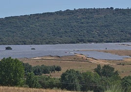Vista general de la planta fotovoltaica de Ciudad Rodrigo