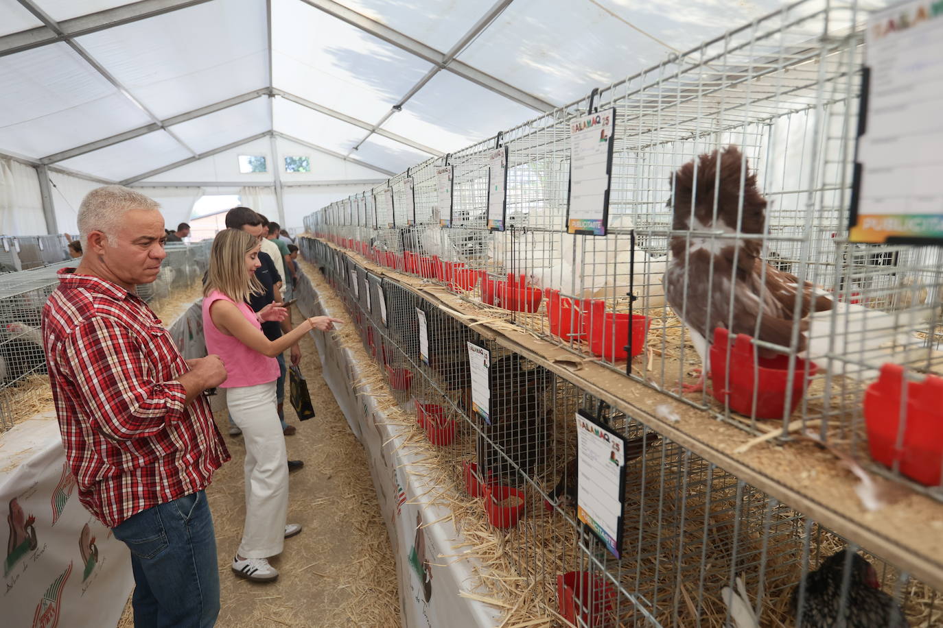 Las mejores imágenes del primer día de Salamaq 2025