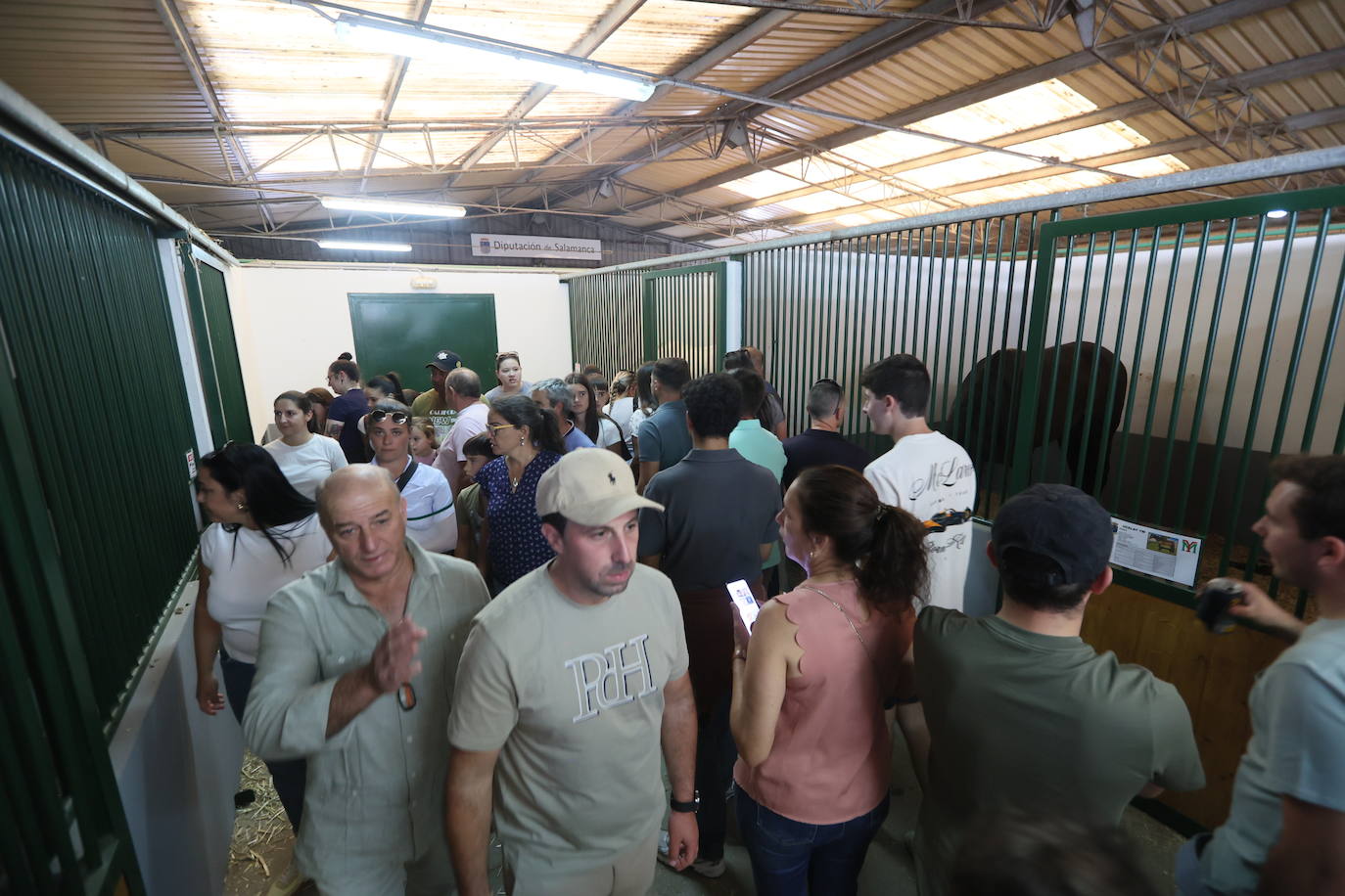 Las mejores imágenes del primer día de Salamaq 2025