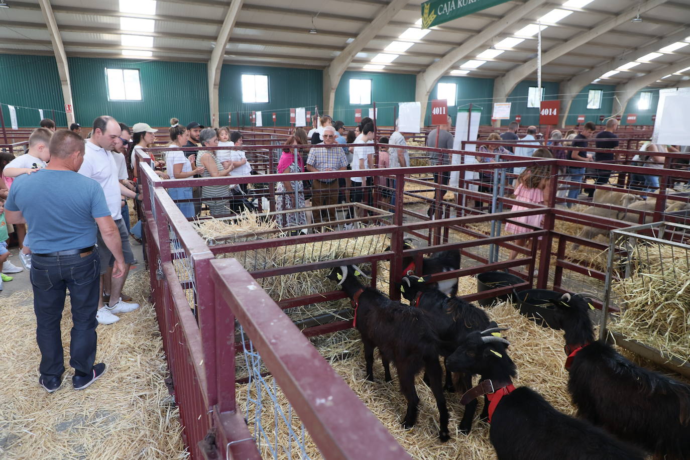 Las mejores imágenes del primer día de Salamaq 2025