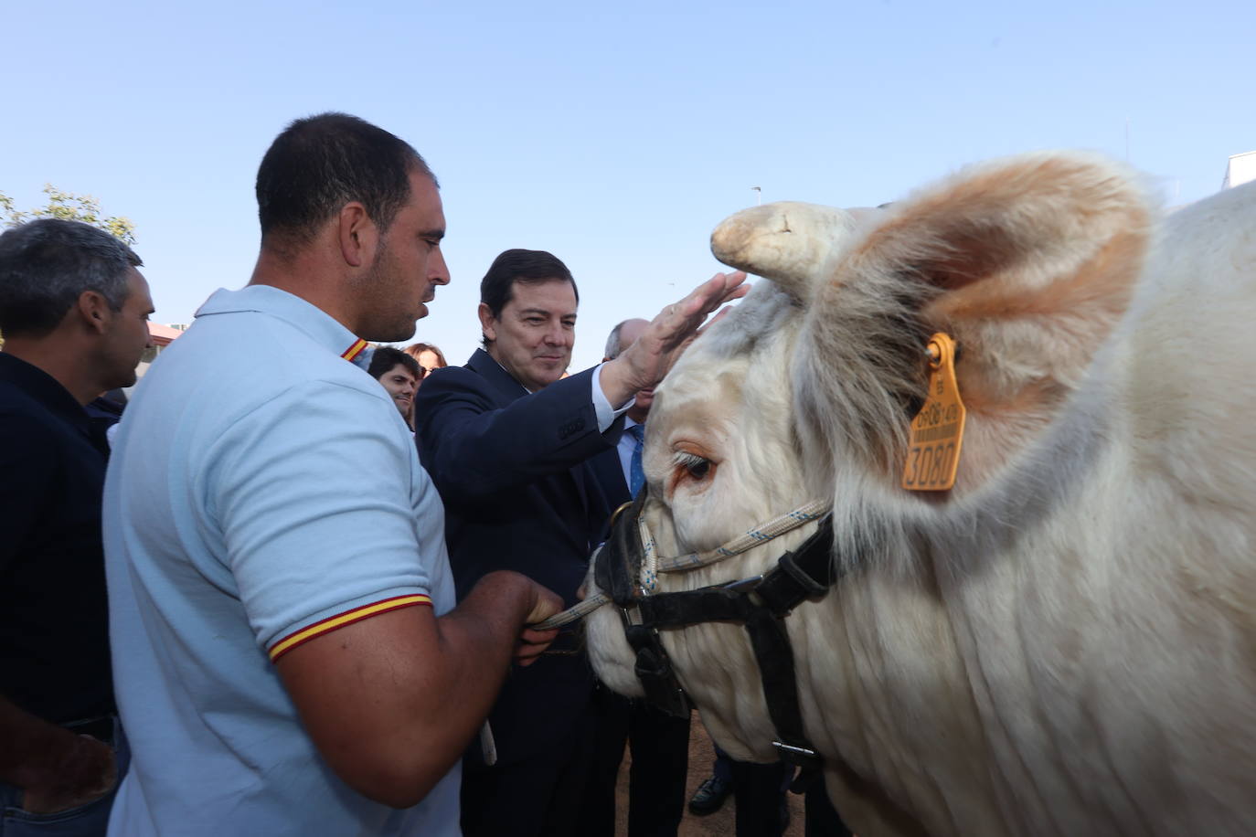 Las mejores imágenes del primer día de Salamaq 2025