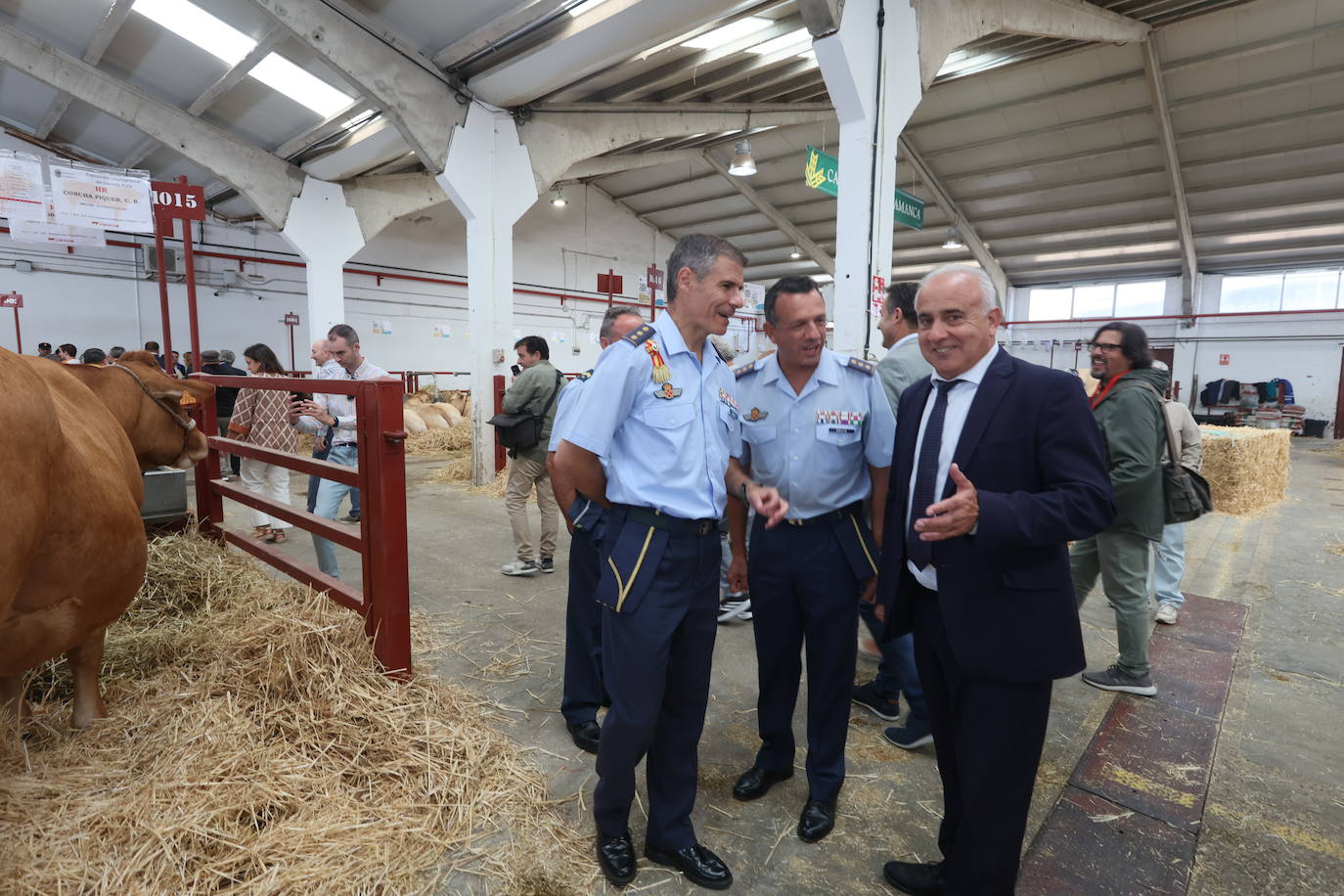 Las mejores imágenes del primer día de Salamaq 2025