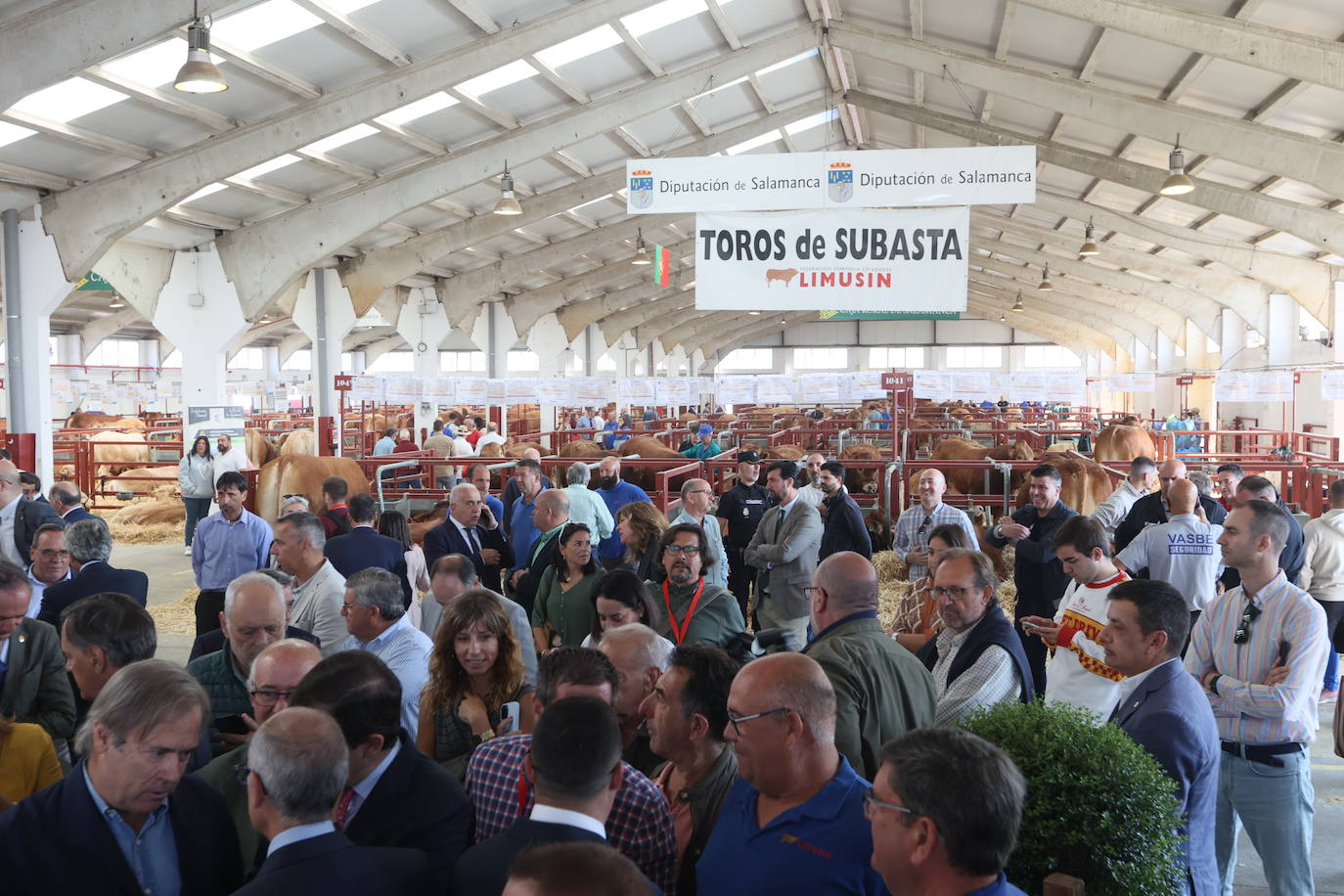 Las mejores imágenes del primer día de Salamaq 2025