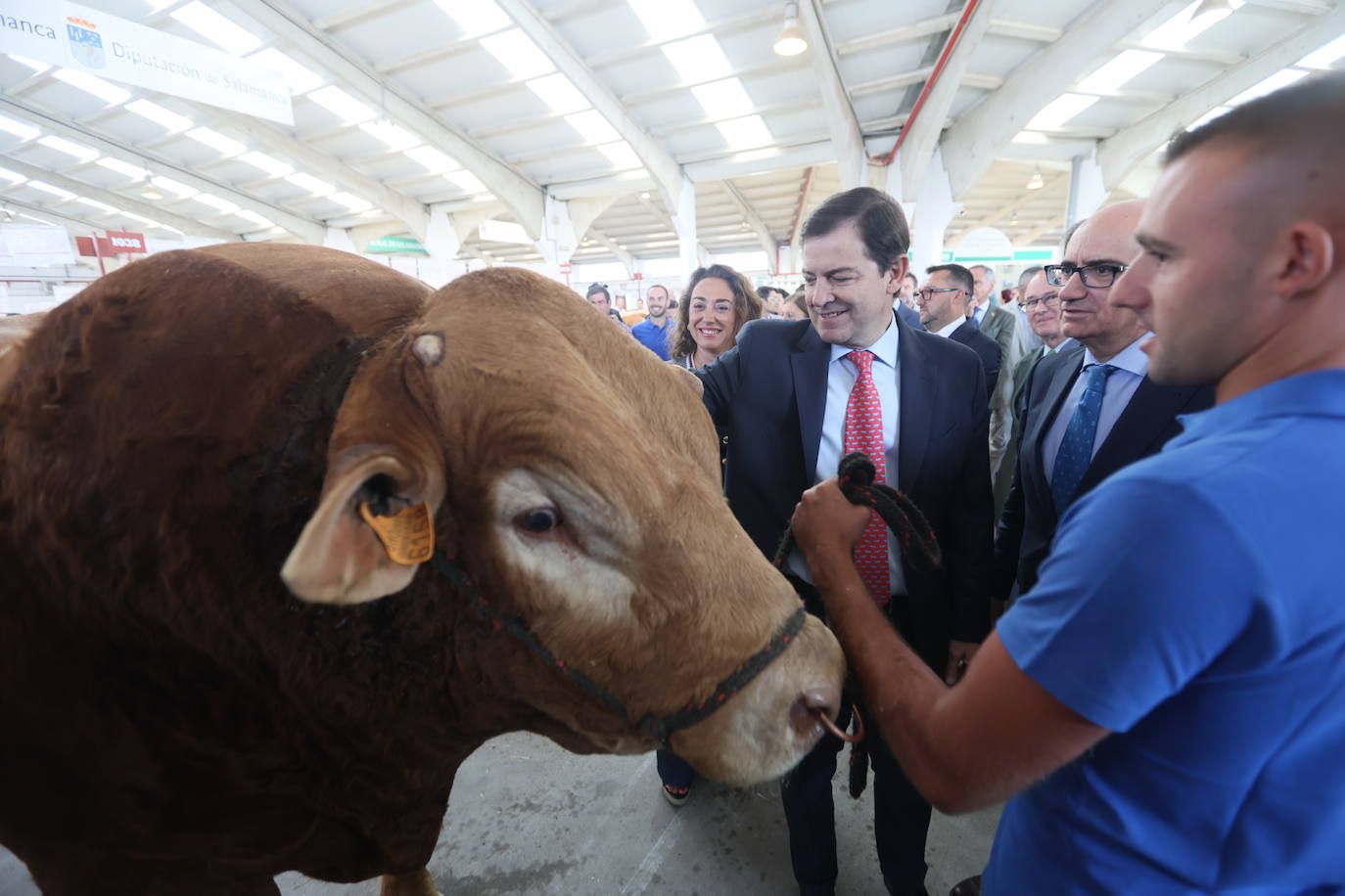 Las mejores imágenes del primer día de Salamaq 2025