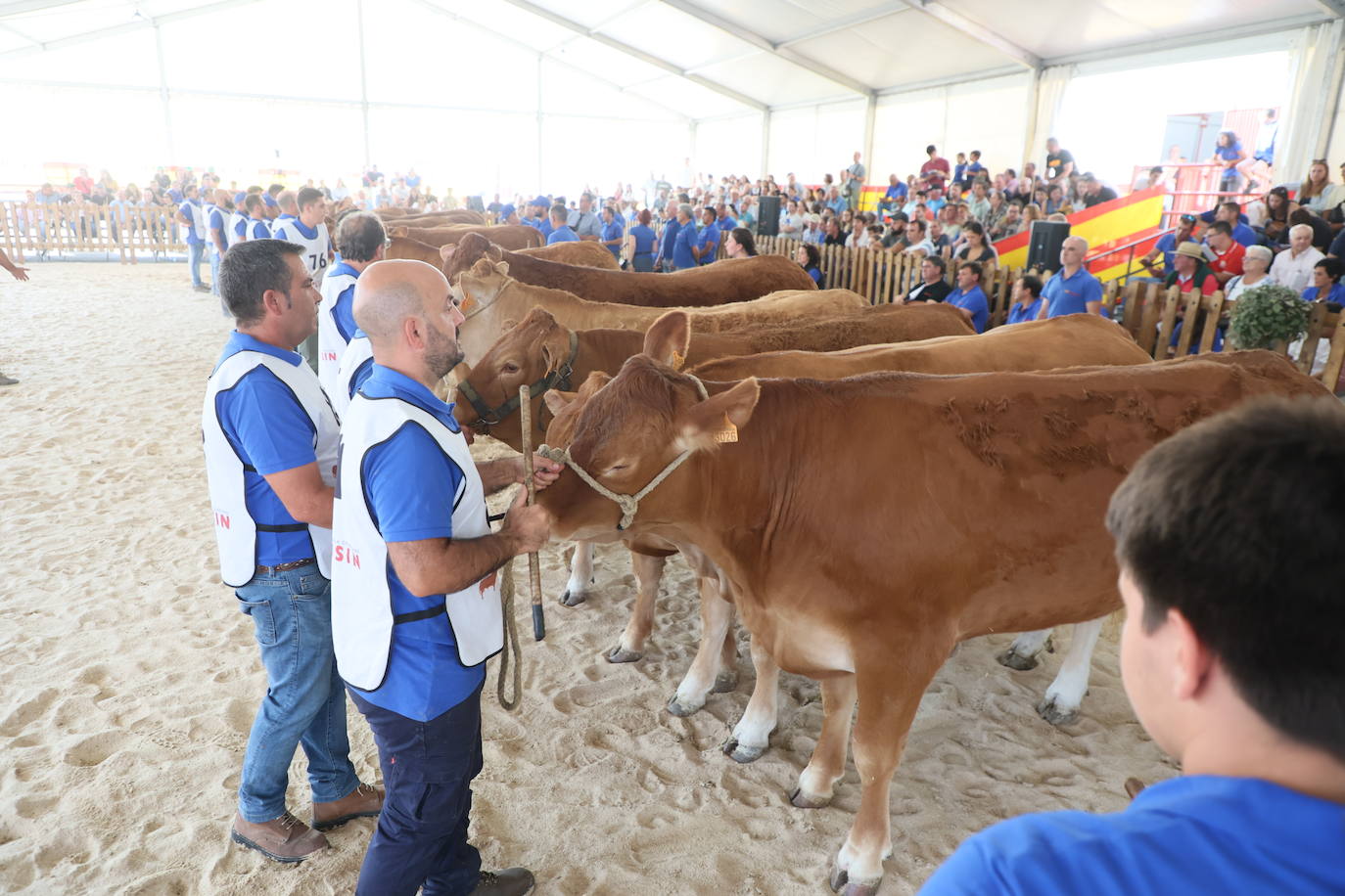 Las mejores imágenes del primer día de Salamaq 2025