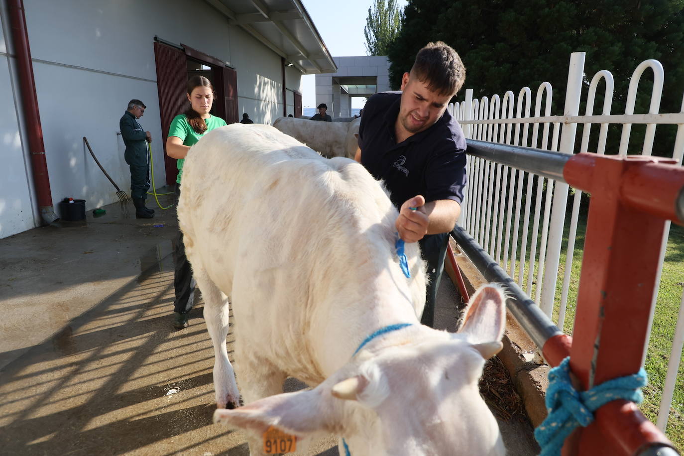 Las mejores imágenes del primer día de Salamaq 2025