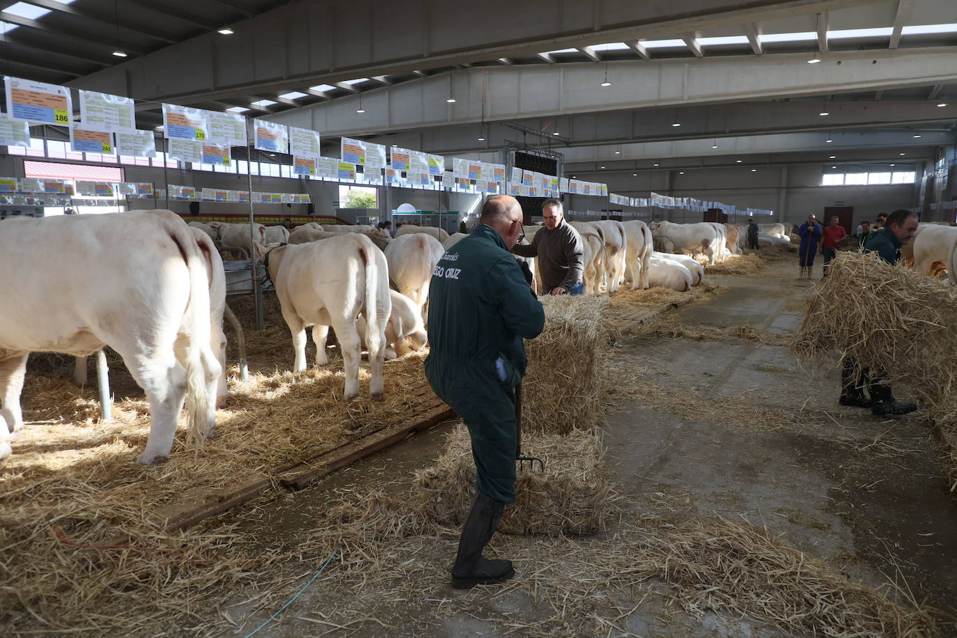 Las mejores imágenes del primer día de Salamaq 2025