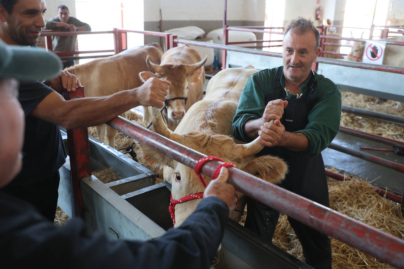 Las mejores imágenes del primer día de Salamaq 2025