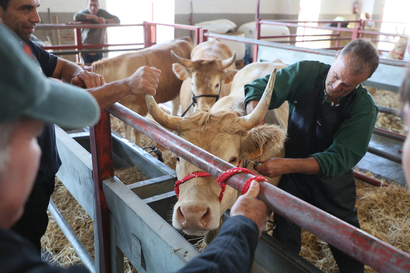 Las mejores imágenes del primer día de Salamaq 2025