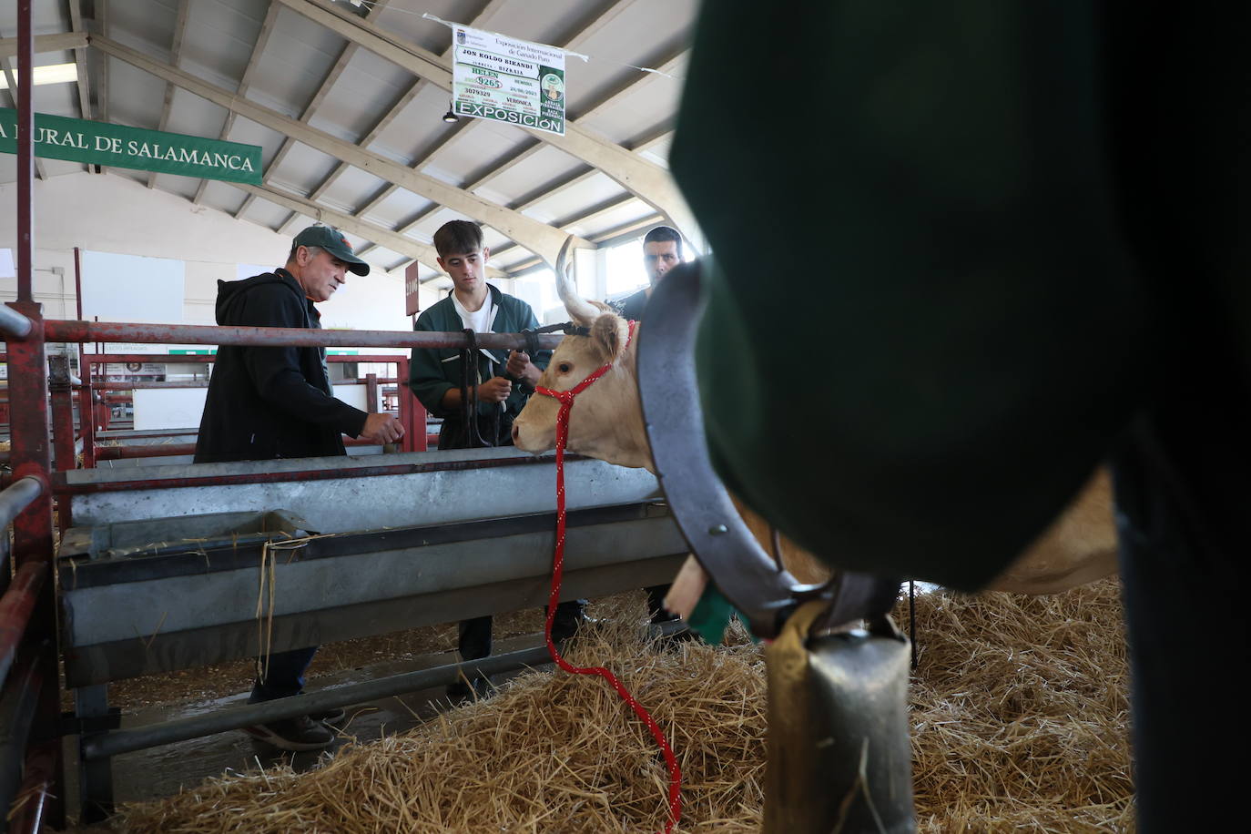 Las mejores imágenes del primer día de Salamaq 2025