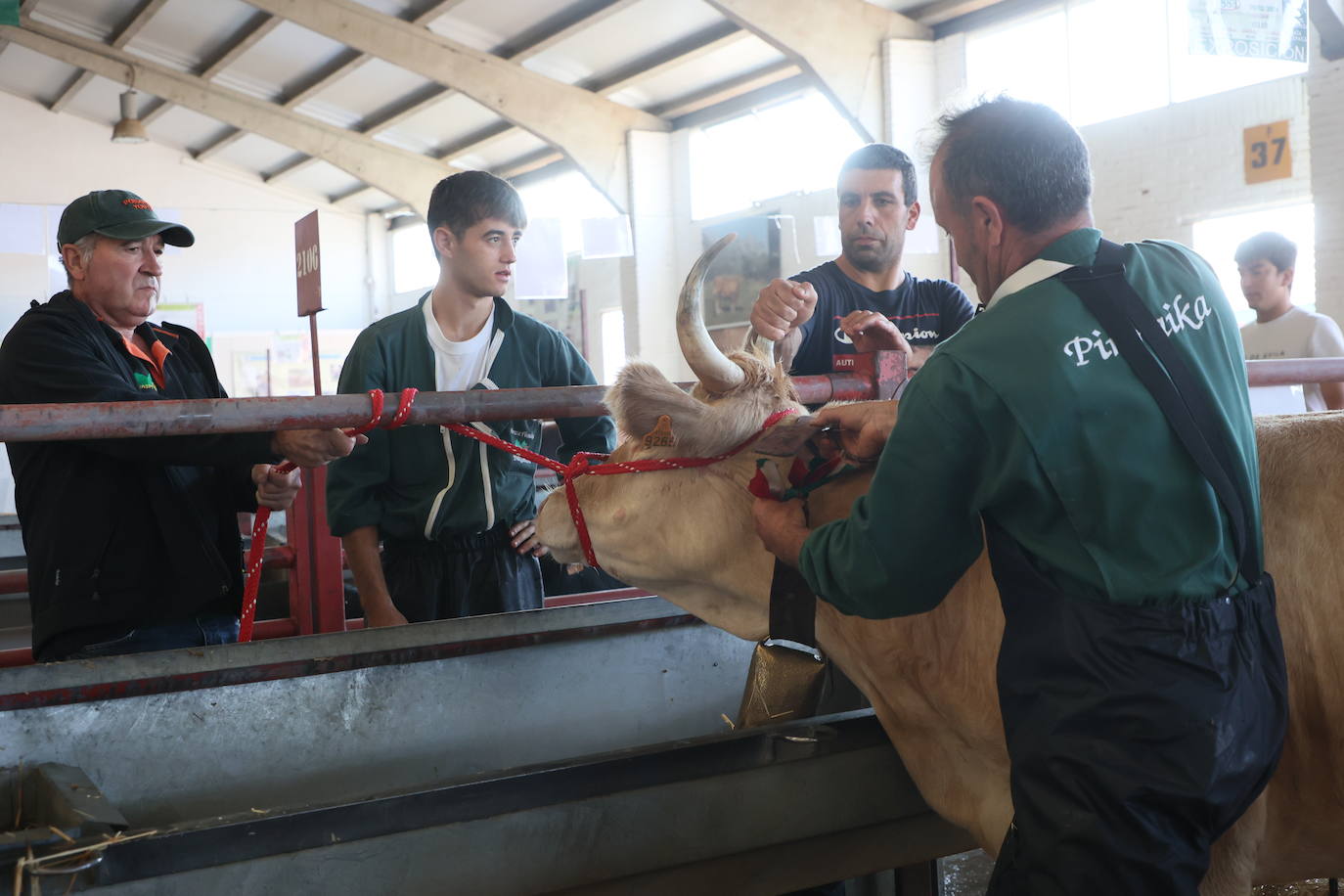 Las mejores imágenes del primer día de Salamaq 2025