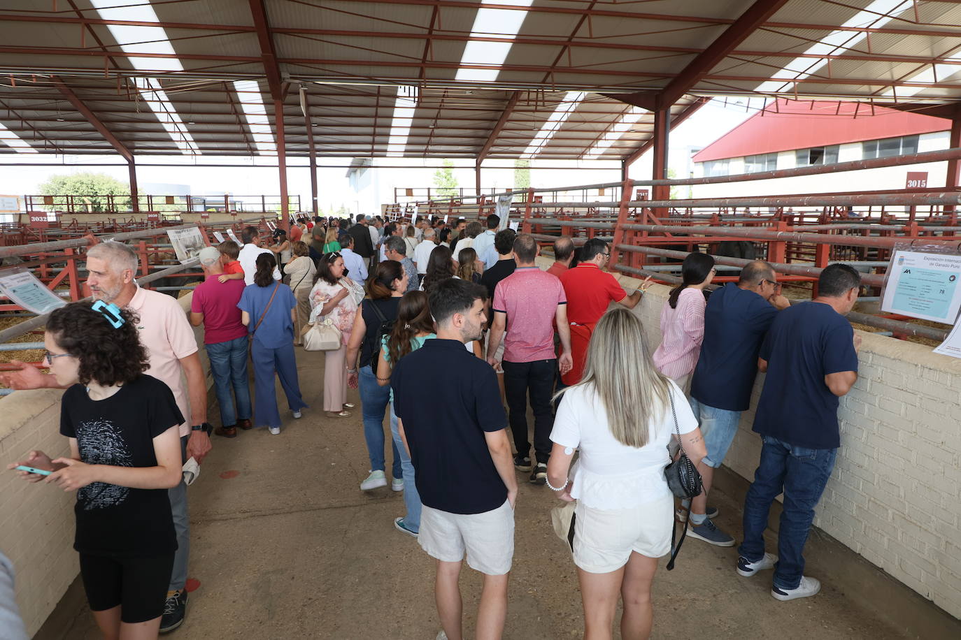 Las mejores imágenes del primer día de Salamaq 2025