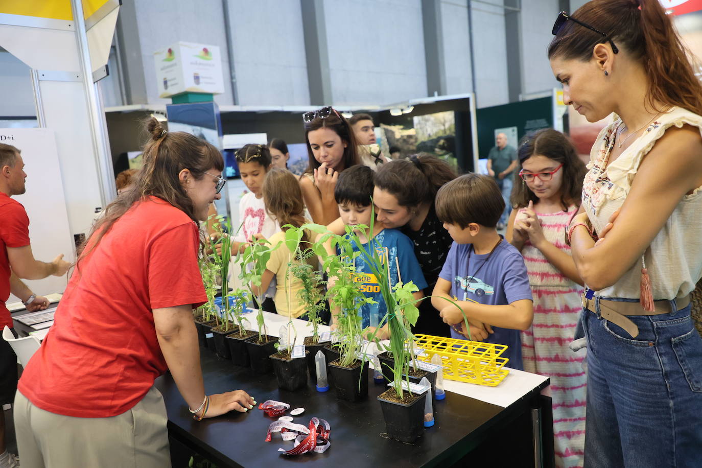 Las mejores imágenes del primer día de Salamaq 2025