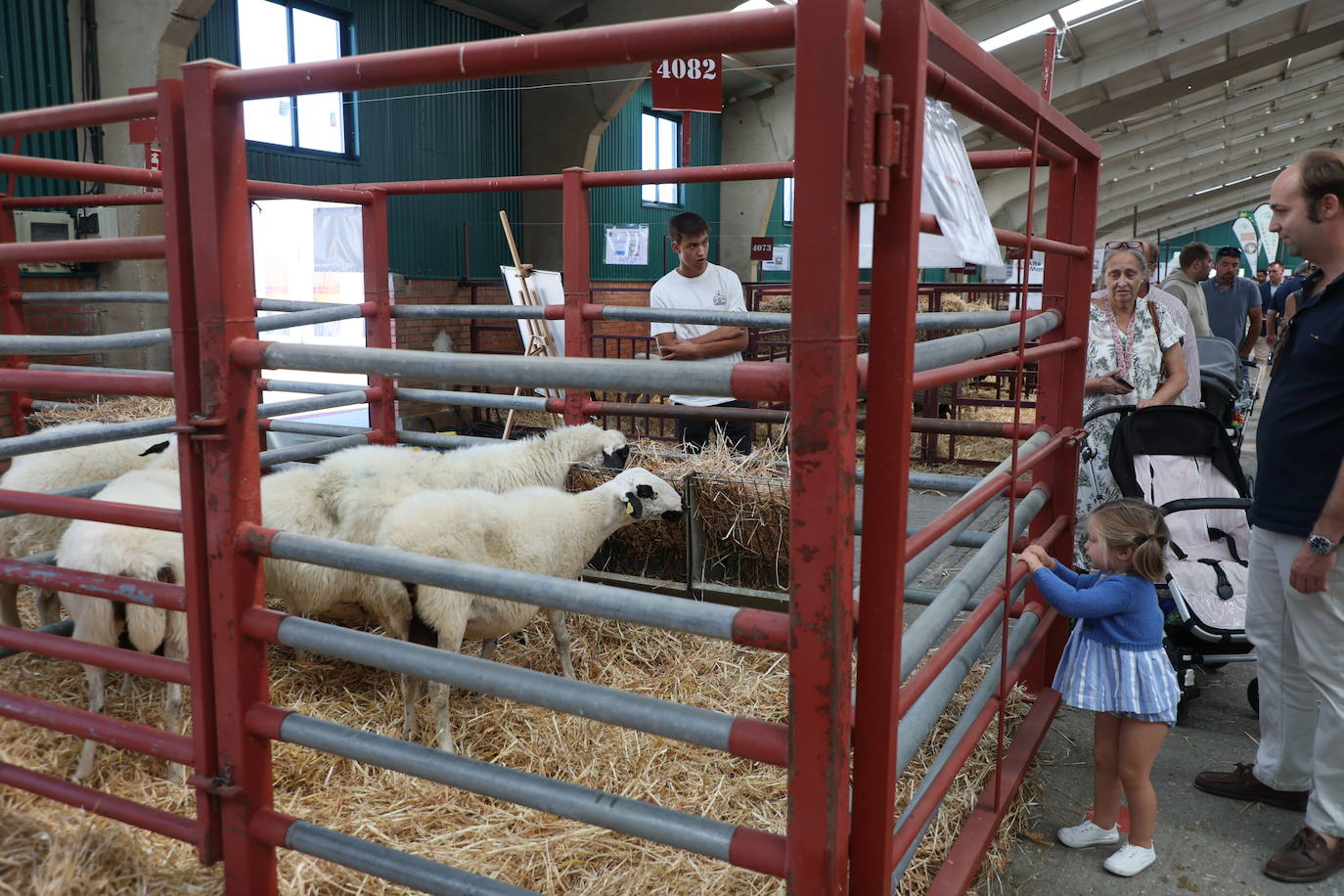 Las mejores imágenes del primer día de Salamaq 2025