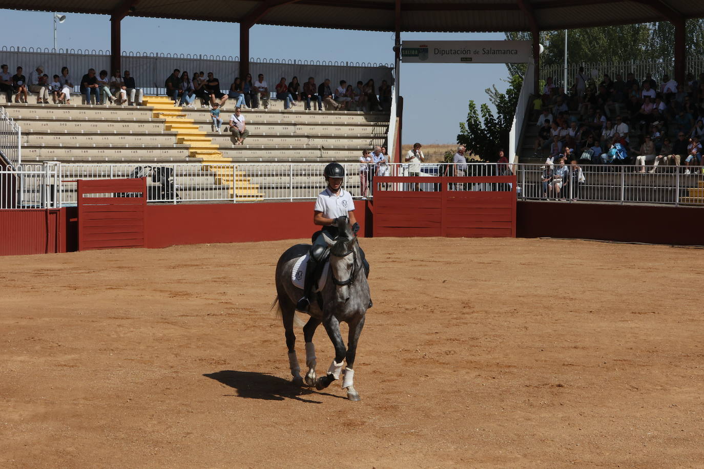 Las mejores imágenes del primer día de Salamaq 2025