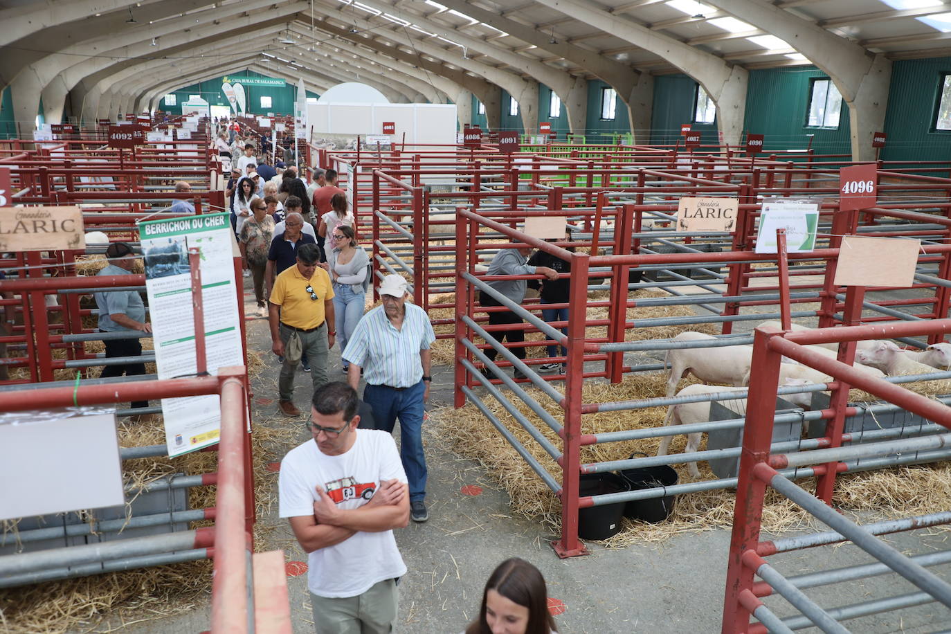 Las mejores imágenes del primer día de Salamaq 2025