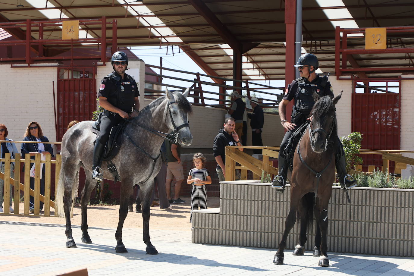 Las mejores imágenes del primer día de Salamaq 2025