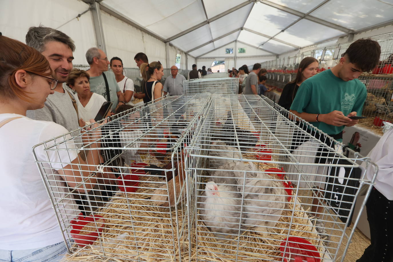 Las mejores imágenes del primer día de Salamaq 2025