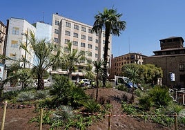 ¿Le gustan las nuevas palmeras colocadas en la plaza de Santa Eulalia?
