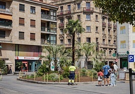 Un grupo de personas mirando las nuevas palmeras de la plaza de Santa Eulalia.