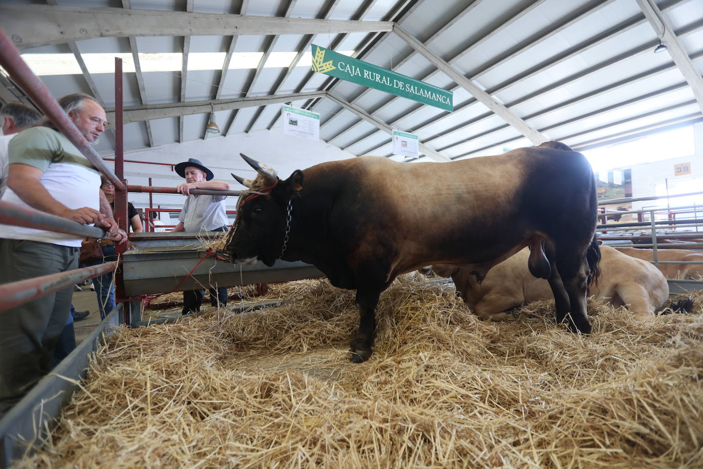 Las mejores imágenes del segundo día de Salamaq 2025