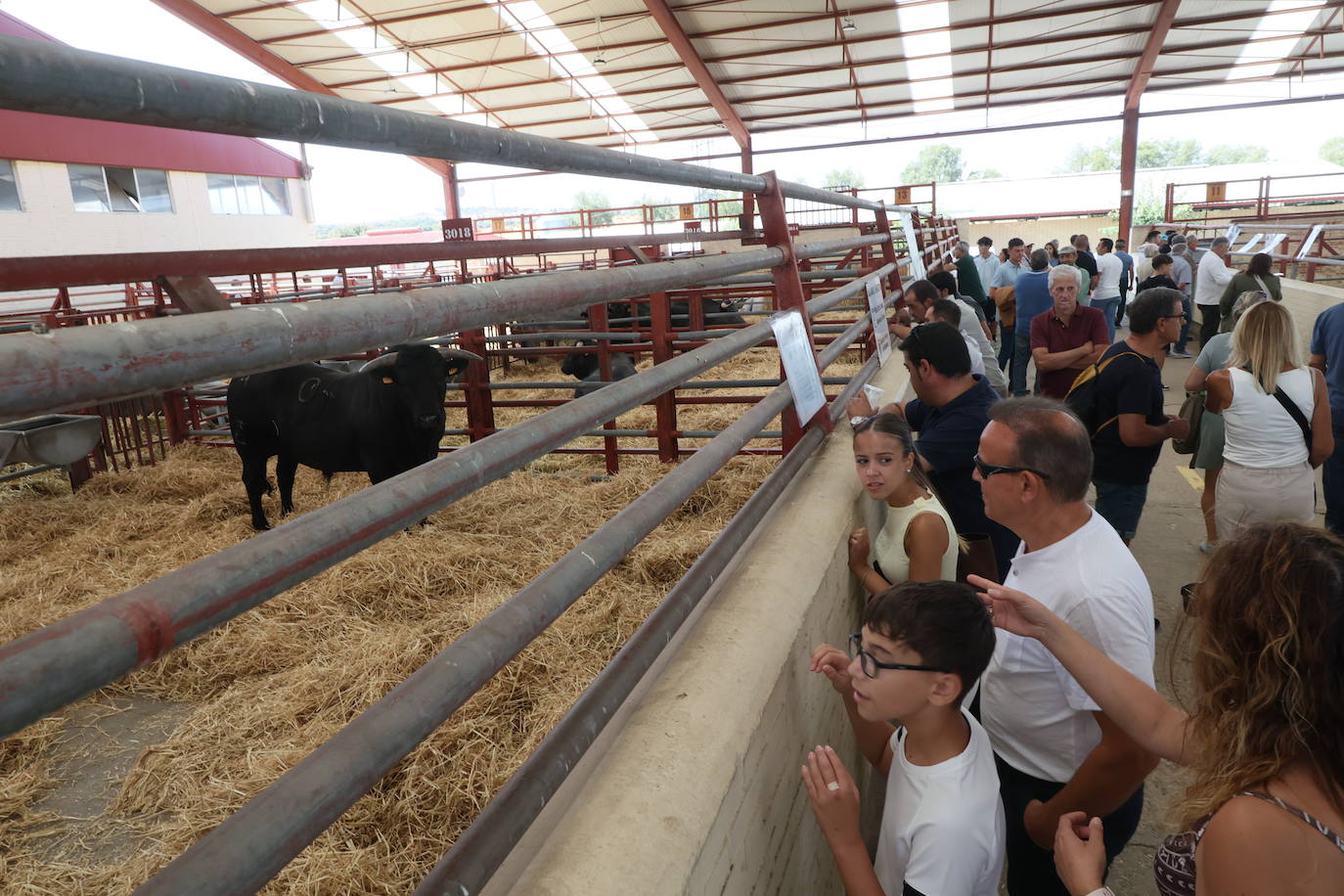 Las mejores imágenes del segundo día de Salamaq 2025