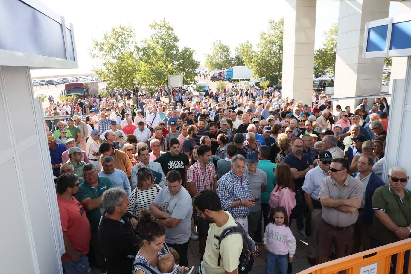 Las mejores imágenes del segundo día de Salamaq 2025