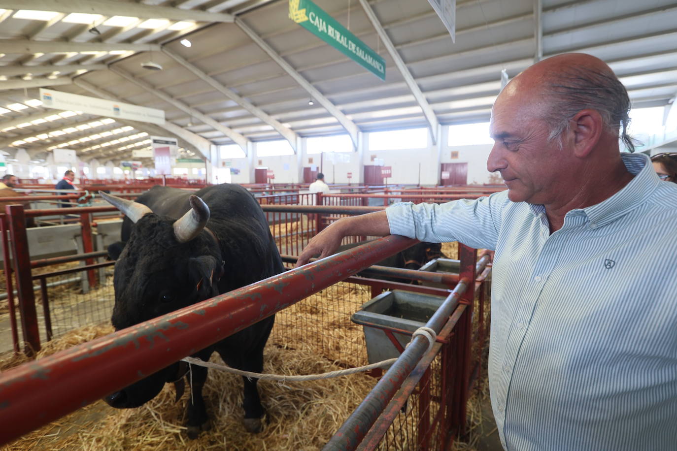 Las mejores imágenes del segundo día de Salamaq 2025