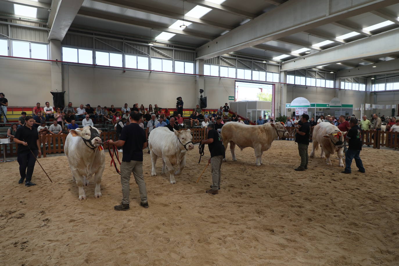 Las mejores imágenes del segundo día de Salamaq 2025