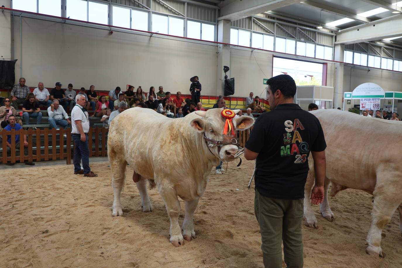 Las mejores imágenes del segundo día de Salamaq 2025