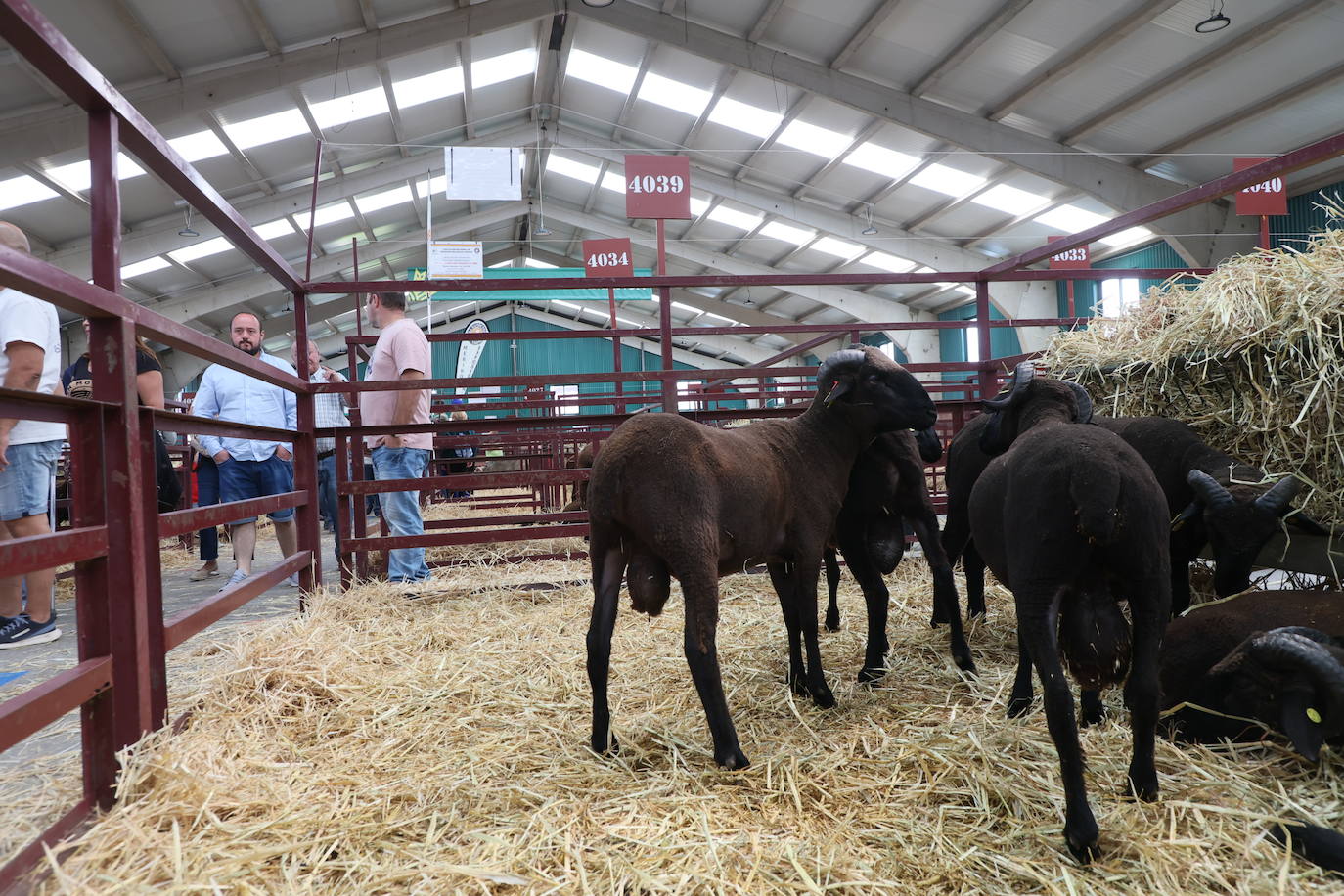 Las mejores imágenes del segundo día de Salamaq 2025