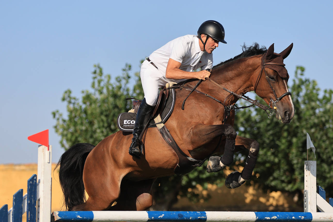 Ambientazo en la primera jornada de un concurso de saltos que enamora a Salamanca