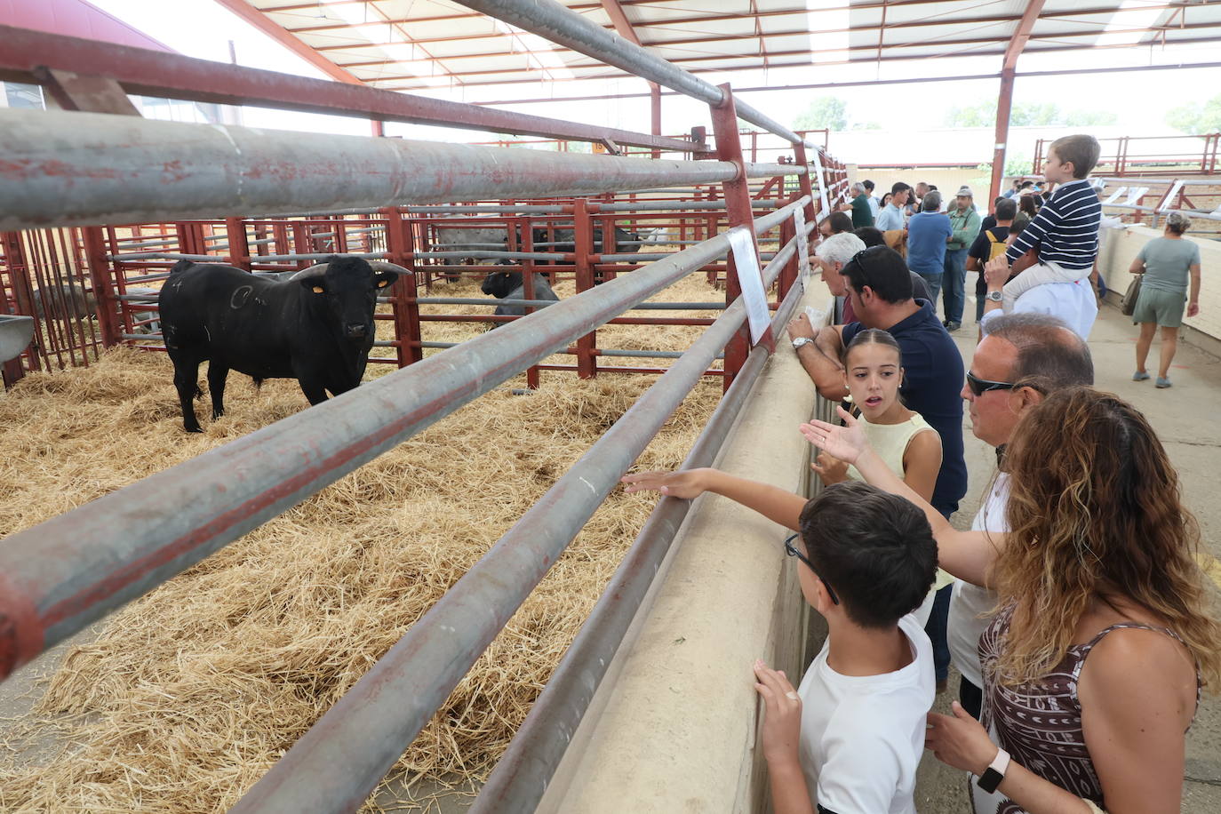 Las mejores imágenes del segundo día de Salamaq 2025