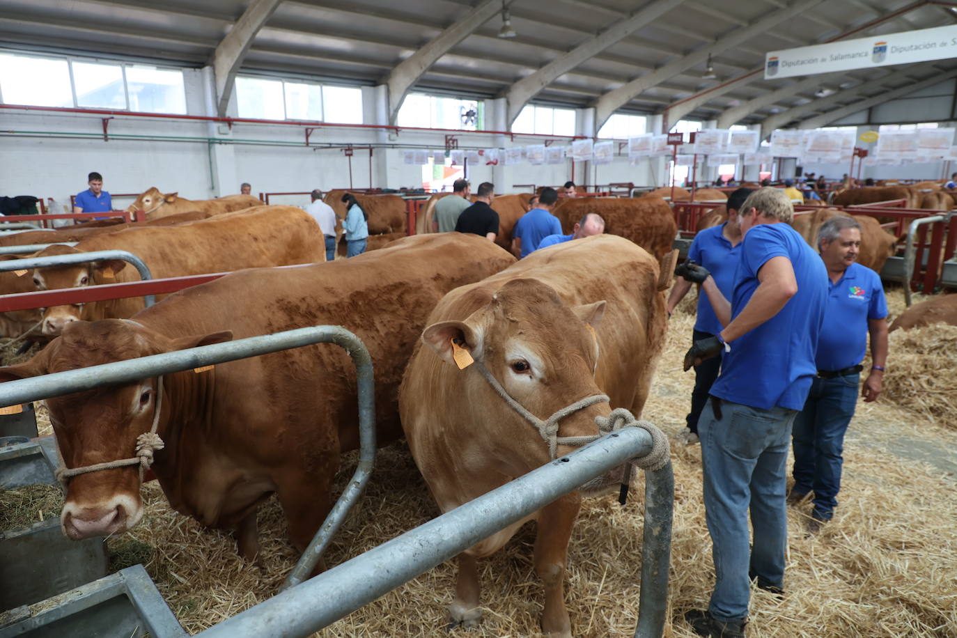 Las mejores imágenes del segundo día de Salamaq 2025